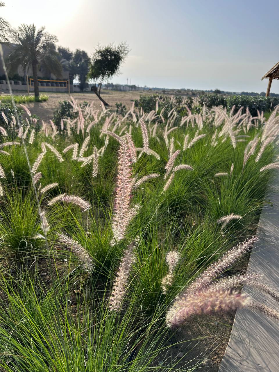 Ум опустошается, чтобы прорасти новые процессы image preview