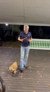 Ждал летние выходные для шашлычков image preview