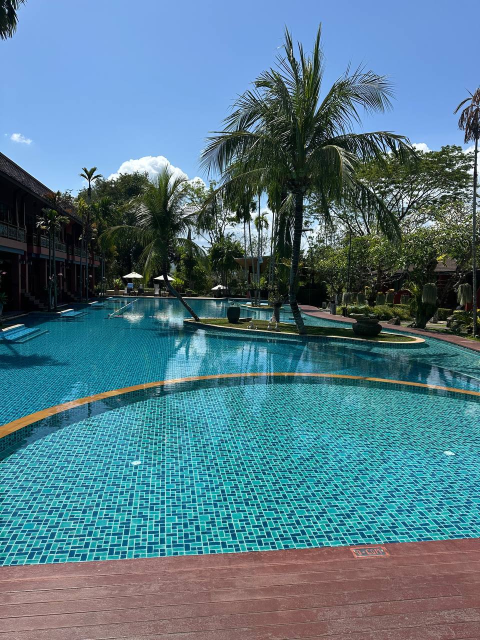 Несколько дней назад ходил среди сугробов, а... image preview